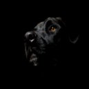 Dog-OFF - No Smoking (Original Mix)