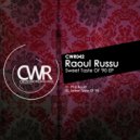 Raoul Russu - Sweet Taste Of 90's