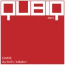 Samite - Sky Birds (Original Mix)