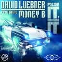 David Luebner feat. Money B. - Polish It, Demolish It (Dub Mix)