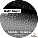 Adriano Filippucci - Black Snake (Original Mix)