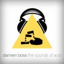 Damien Boss ft. MC Placenta Smoka - The Sounds of Acid (KlouD Remix)