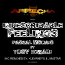 Pascal Morais ft Troy Denari - Indescribable Feelings