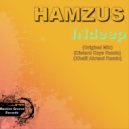 Hamzus - INdeep