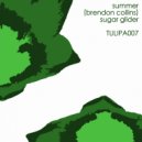 Summer (Brendon Collins) - Sugar Glider