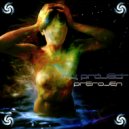 M.Y. Project - El Guia