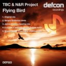TBC & N&R Project - Flying Bird