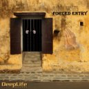Adam Vegys - Forced Entry (Tech Mix)