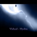 Vidual - Hydra (Original Mix)