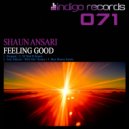 Shaun Ansari - Feeling Good (DJ Ned B Remix)
