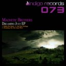 Magnetic Brothers - One Stars Feelings