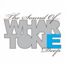 Lickrish Music feat. Gemma Jay - Weak (Left Stereo Right Remix)