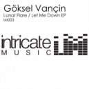 Goksel Vancin - Let Me Down (Original Mix)