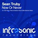 Sean Truby - Now Or Never (Parka Remix)
