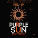 Allex Bridge - Amstuff