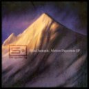 Blind Summit - The Seventh Opinion