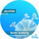 Soren Aalberg - Jelly Fish (Thomas Angstrom Remix)