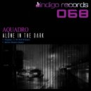 Aquadro - Alone In The Dark (DJ Ned B Remix)