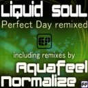 Liquid Soul - Perfect Day