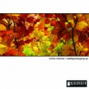 Micha Mischer - Marienkaefer (Original Mix)