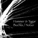 Hammer & Tygar - NoGo