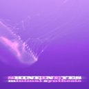 Shineineyes - Minimal Synthesis (Original Mix)