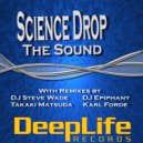 Science Drop - The Sound (DJ Steve Wade Remix)