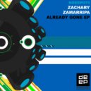 Zachary Zamarripa - Already Gone