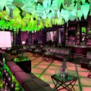 Swamp Donkey - Sleazy Donkey