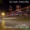 Shaun Ansari - Crack The Sky