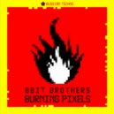 8bit Brothers - Hiding Mushrooms (Original Mix)