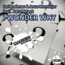Javi Rodenas & Jesus Mondejar feat Aaron Mayk - I Wonder Why