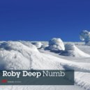 Roby Deep - Numb (Benny Vandess Remix)