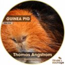 Thomas Angstrom - Guinea Pig (Soren Aalberg Remix)