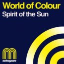 World Of Colour - Spirit Of The Sun