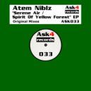 Atem Niblz - Spirit Of Yellow Forest