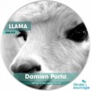 Damien Porta - Llama (Djinxx In The Valley Remix)