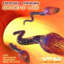 Aphid Moon, Made On Earth - Neblina