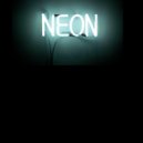 Bruno Browning - Neon Underground (Leroy\'s Mix)