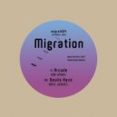 Bass Junkies - Devils Haze