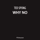 Ted Spong - Why No (Original Mix)