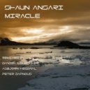 Shaun Ansari - Miracle (Asbjorn Hegdahl Club Mix)
