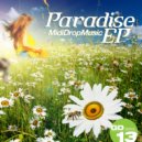 Mididropmusic - Paradise (Original Mix)