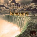 Flipplive - Niagara (Damian Wasse Remix)