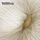 Sebastian Albrecht - DSCR