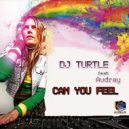 Dj Turtle featuring Audrey - Can You Feel (Club Mix)