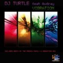 Dj Turtle featuring Audrey - Vibration (Sebastien Nox Remix)