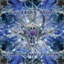 Crossing Mind - Terminal Fantasy