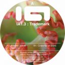 Trademark - Progression