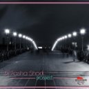 Dj Pasha Shock - Prospect